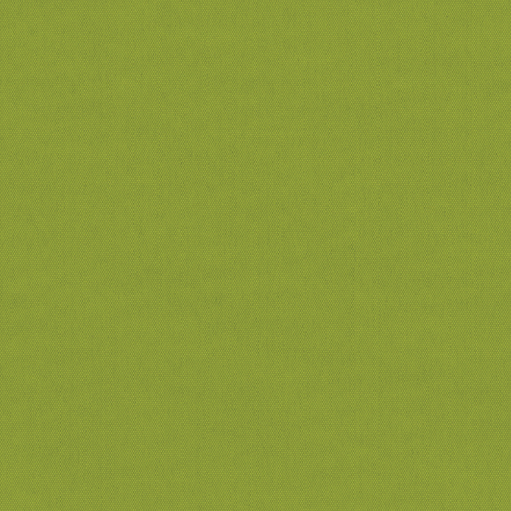 CARNIVAL_BO_KIWI.jpg