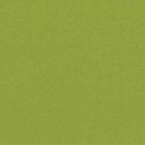 CARNIVAL_KIWI.jpg