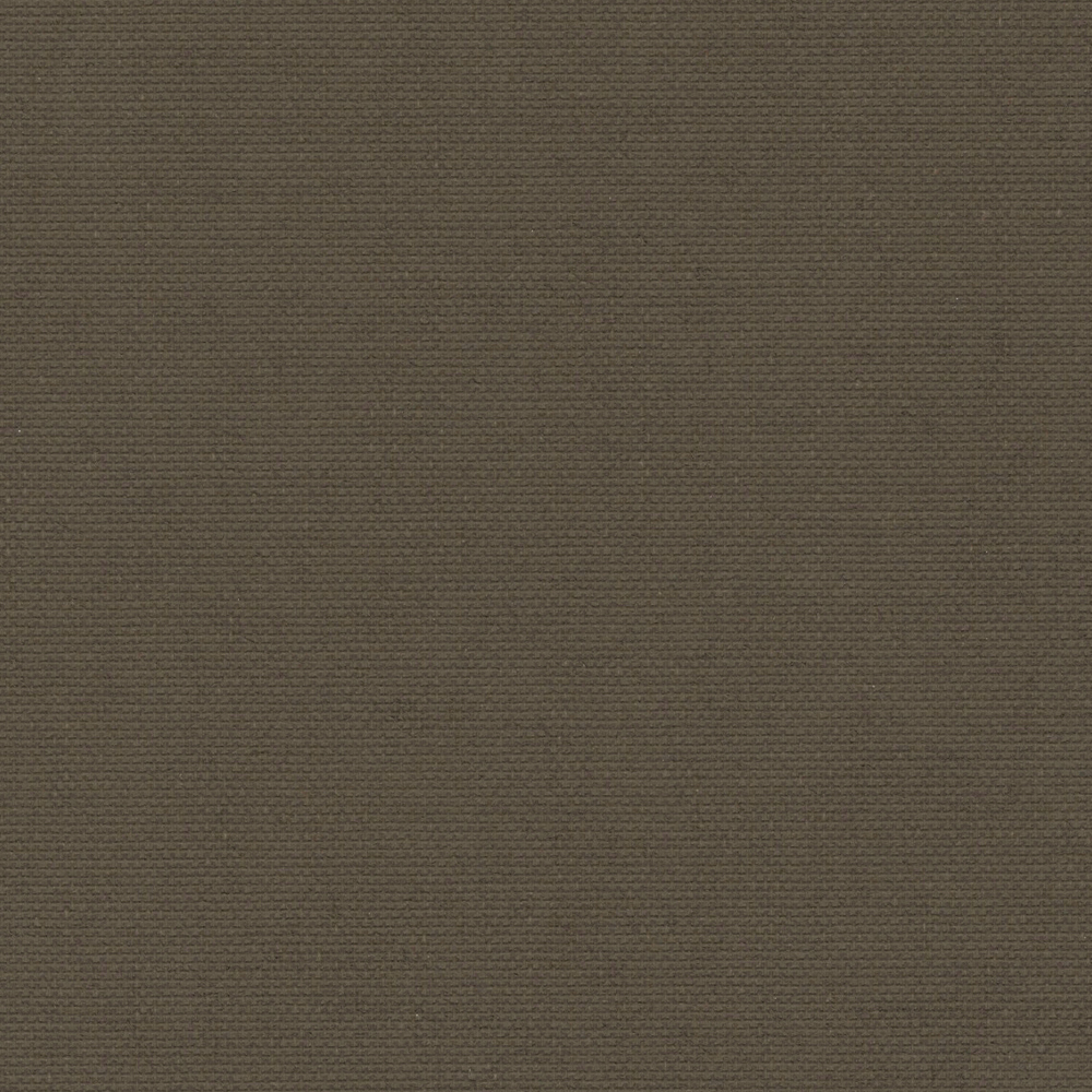 DAYBREAK_MOCHA.jpg