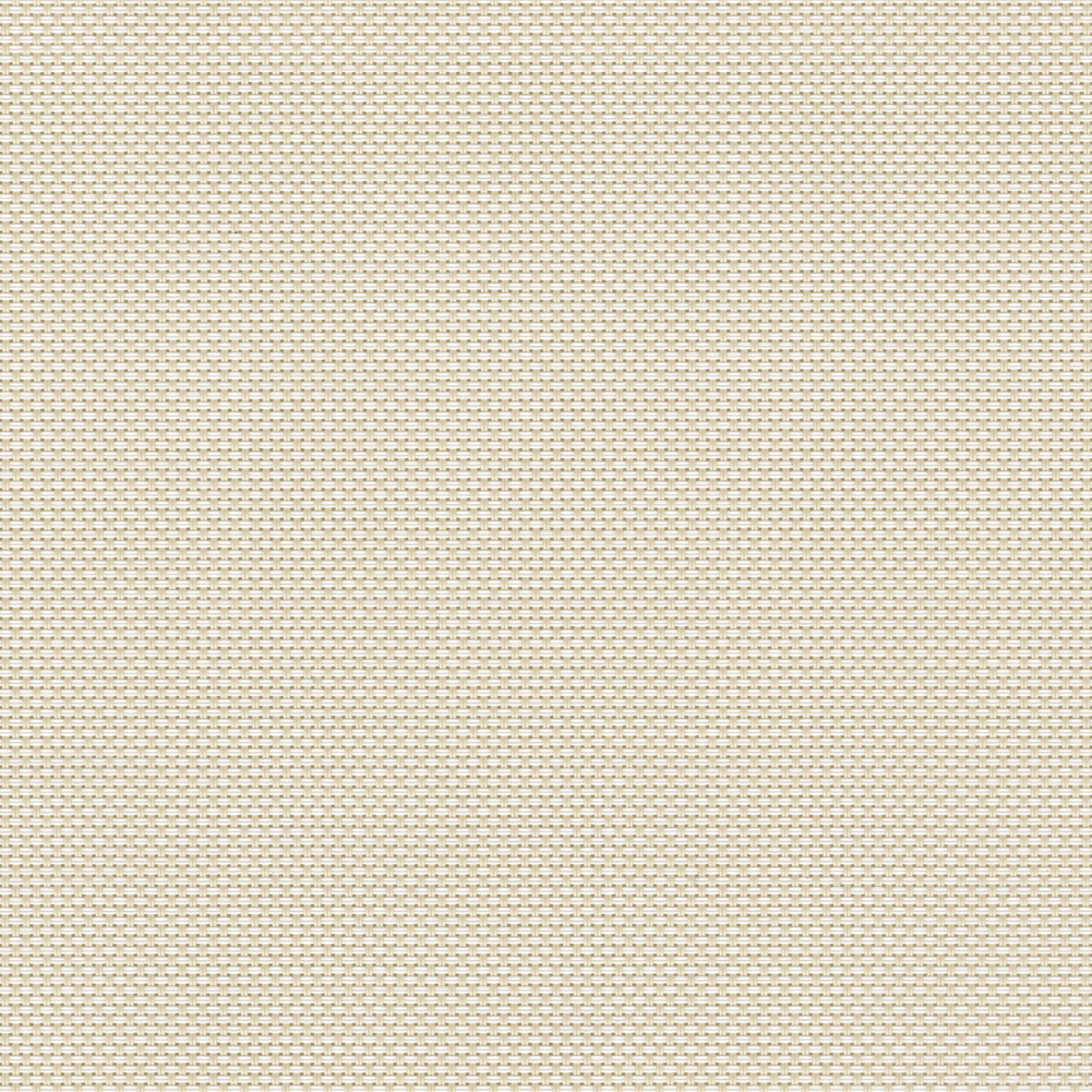 PERSPECTIVE_5_PERCENT_BEIGE.jpg