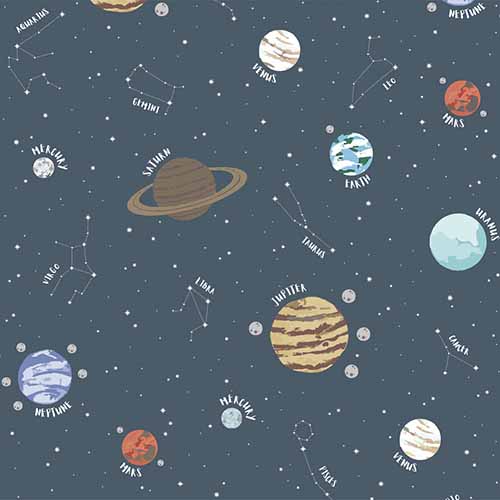 PLANETARIUM_COSMOS.jpg