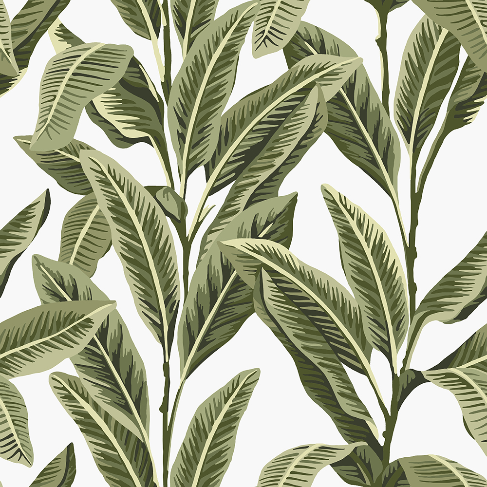 TROPICAL_PALM_BO_ALOHA.jpg
